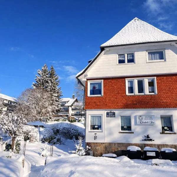 Hotel Elisabeth Ilse, hotel en Braunlage