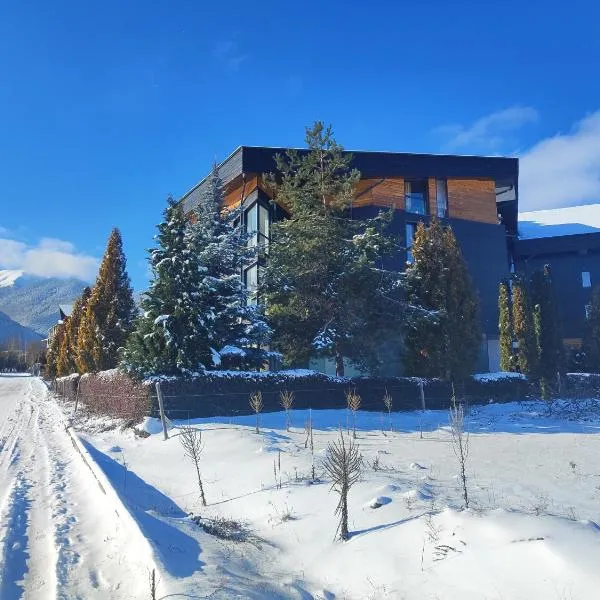 Aspen Heights 4 bed studio, hotelli kohteessa Bansko