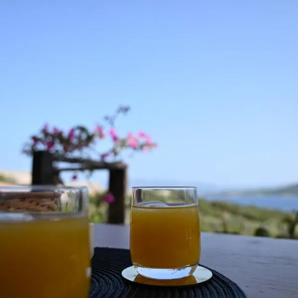 Capo d`Orso Mare, hotel din Proiettore