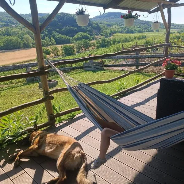 Csendàr hàz – hotel w mieście Diszel