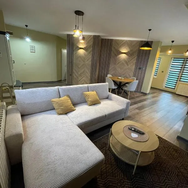 BM Aparts Rustic – hotel w mieście Plewen