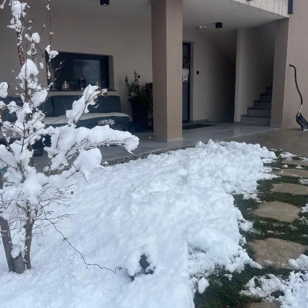 Apartments Wally, hotel en Ptuj