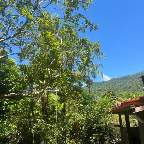 Pé de Gabiroba House - Foto 2