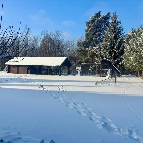 Apartament u kucharzy Łysica 1，Wilków的飯店