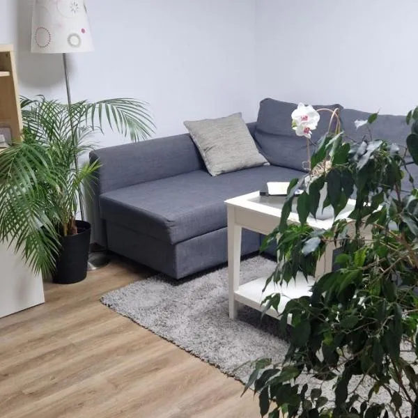 Charmantes und neu renoviertes Apartment in der Nähe des Flughafens, Hotel in Mannswörth