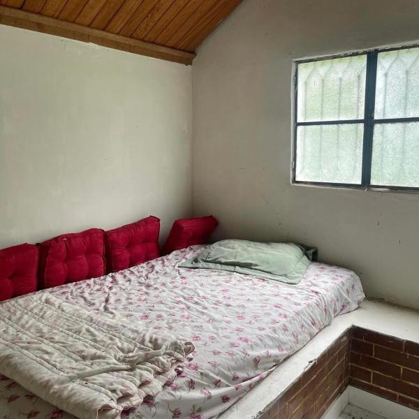 Bagalô Esperança - Foto 2