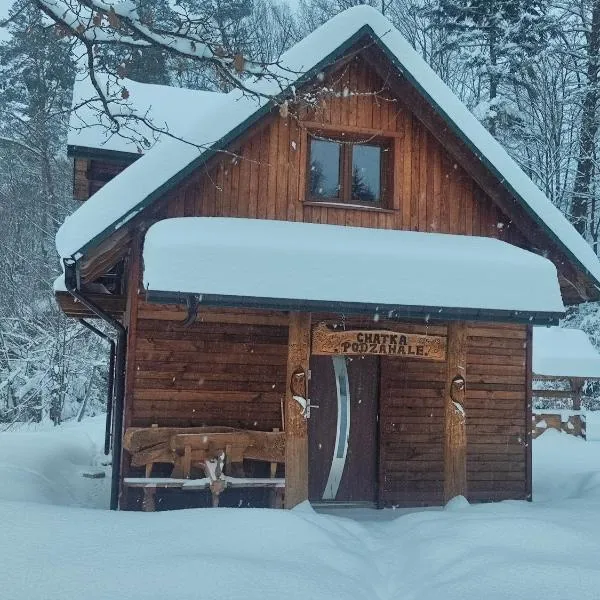 Chatka Podzawale, отель в городе Bircza