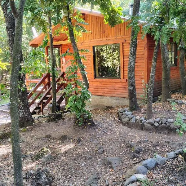 Cabañas Tía Marce, Los Lleuques, hotel em Recinto