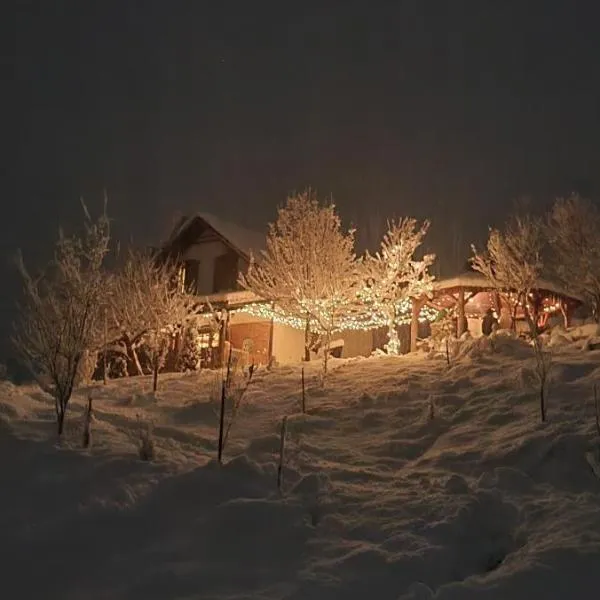 Cuibul cu Trufe, hotelli kohteessa Feldru