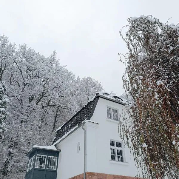 Dom pod Agatową Skałą we Wleniu, hotel en Wleń