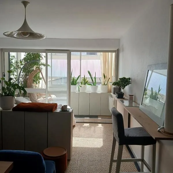 Lovely Studio 35 M2 in Pau city center - Bd des Pyrenées - private parking space, отель в По