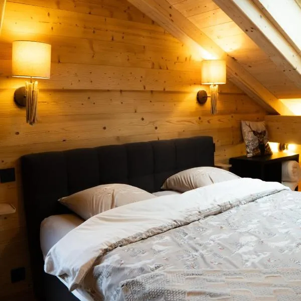 La Rose des neiges à Châtel, khách sạn ở Châtel