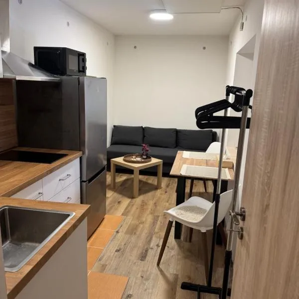 Apartmán na Hejtmánce u letiště v Mladé Boleslavi, hotel u gradu Mlada Boleslav