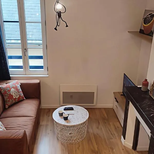 Le Douillet Cocon - Centre, hôtel à Amboise