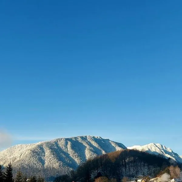 Panoramic Residence, hotel en Zărneşti