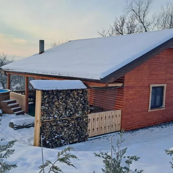 Cabana Laura – hotel w mieście Tîrnăveni