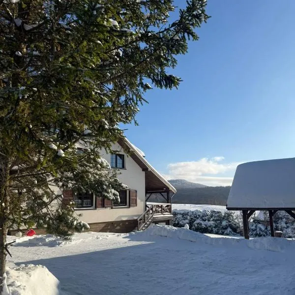 Wetlinowo、ベトリナのホテル