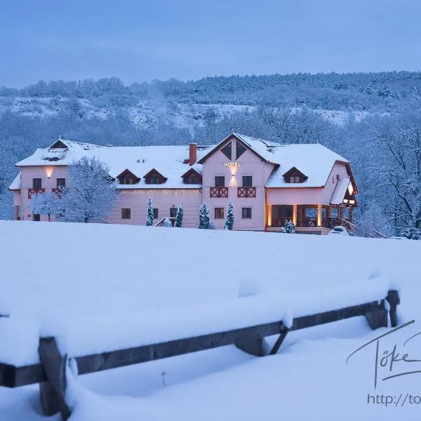 Borhotel Sziluett Farkasmály, hotel em Gyöngyös