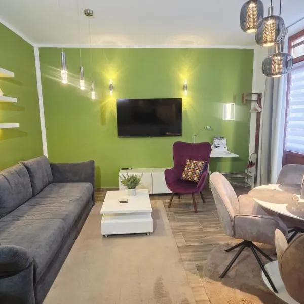 City APART Homes - Whirlpool Air Conditioning Grill-BBQ Parking Dessau-Roßlau, hotel em Dessau