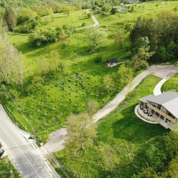 Zamura，Bozioru的飯店