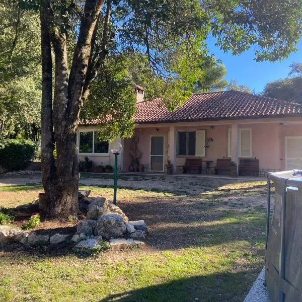 FarAway House B&B, готель у місті Нарні