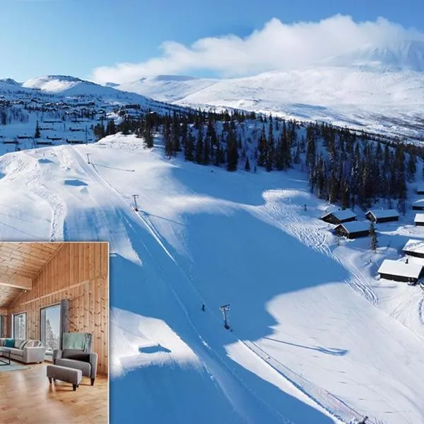 Gaustatoppen Hytteutleie, ξενοδοχείο σε Gaustablikk