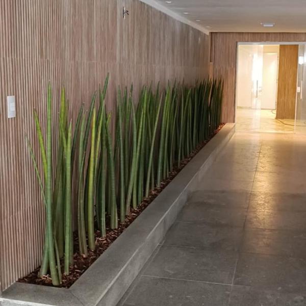 Apartamento frente mar