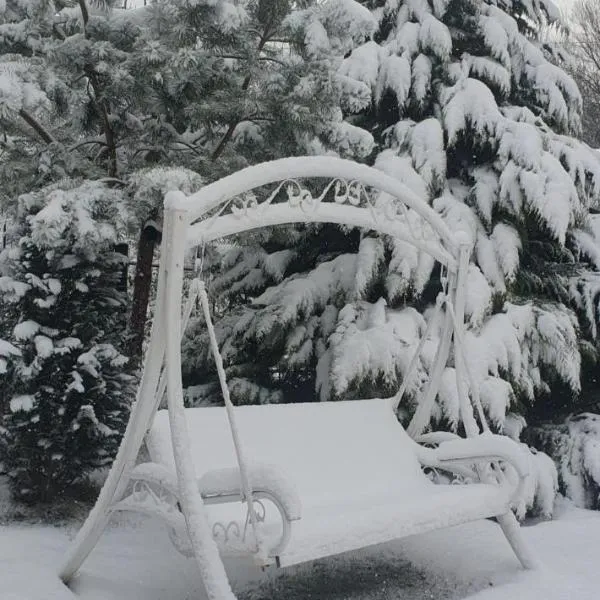 Holiday House Valiug – hotel w mieście Văliug