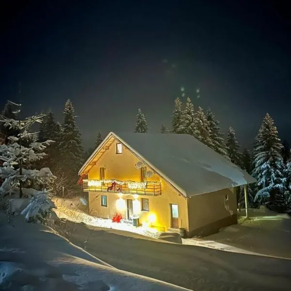 Pensiunea Sarah - Muntele Mic: Muntele Mic şehrinde bir otel