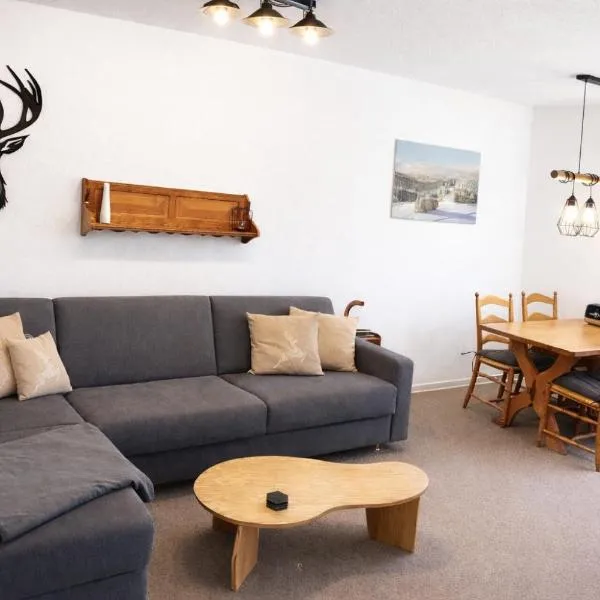 FreiRaum Panorama-Appartement mit Pool & Sauna, hotell i Schonach