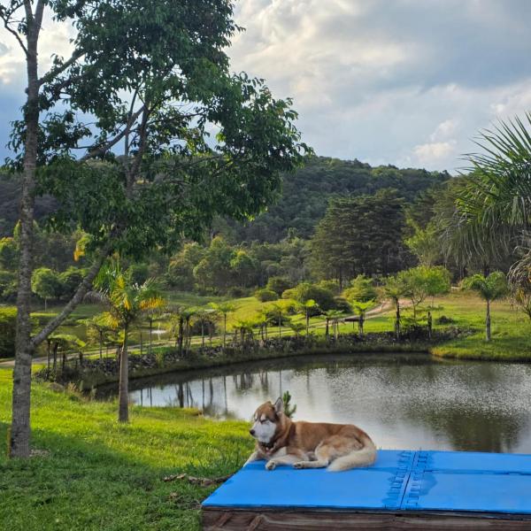 Fazenda Terra Nova camping - Foto 4