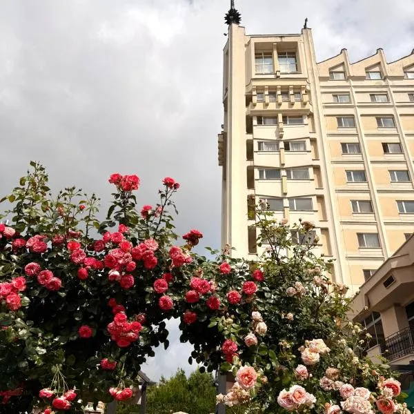 Hotel Mara: Baia Mare şehrinde bir otel