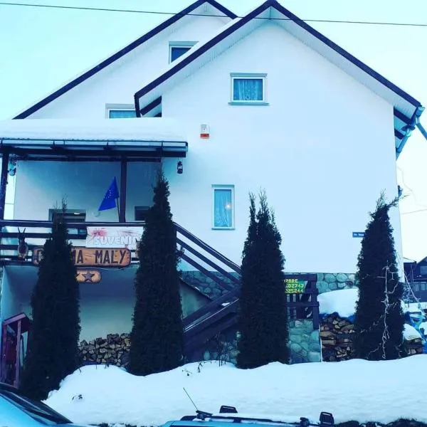 Cabana Maly, Hotel in Petroşani