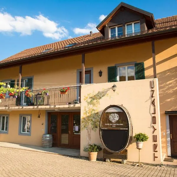 Cave Du Treyblanc, hotel v destinaci Luins