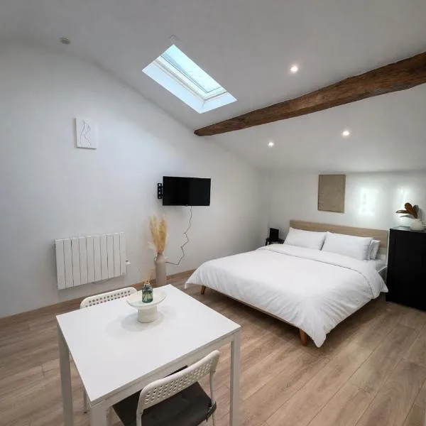 Le cocon - STUDIO- MACON, hotel in Saint-Laurent-sur-Saône