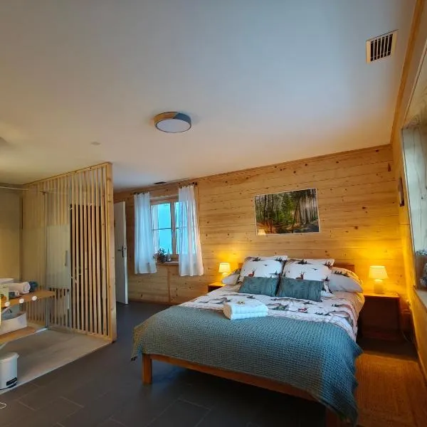 B&B Le Chalet, hotell sihtkohas Les Sciernes d'Albeuve