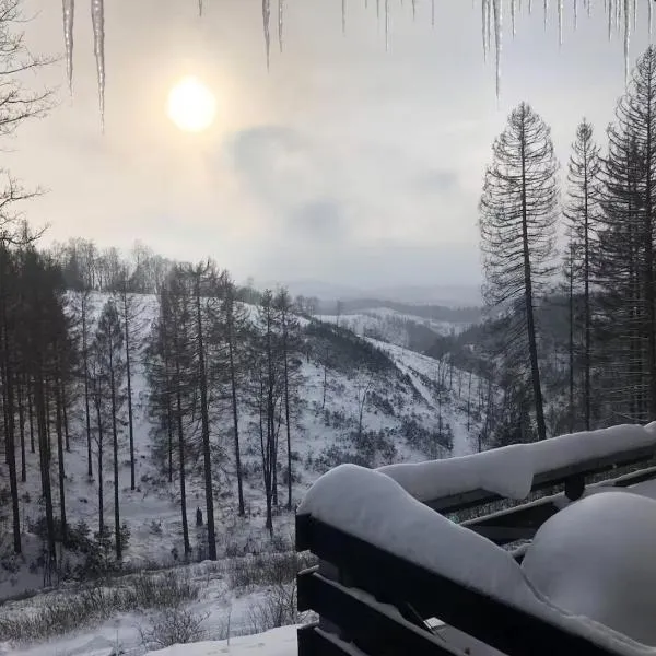 Fewo Nartura: Modern – Idyllisch – stilvoll – ruhig, hotel i Sankt Andreasberg