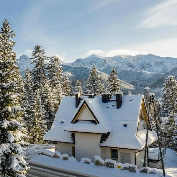 TatryTop Apartamenty Alpejski Potok, хотел в Кошчелиско