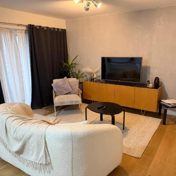 businessflat mol center: Mol şehrinde bir otel