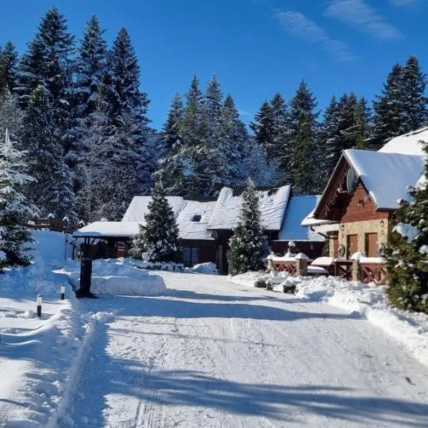 Ośrodek Wczasowy Na Borach, Hotel in Korbielów