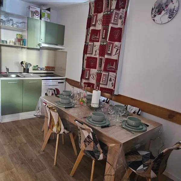 Location aux Sybelles pieds des pistes à Saint-Sorlin-d'Arves, hotel em Saint-Sorlin-dʼArves