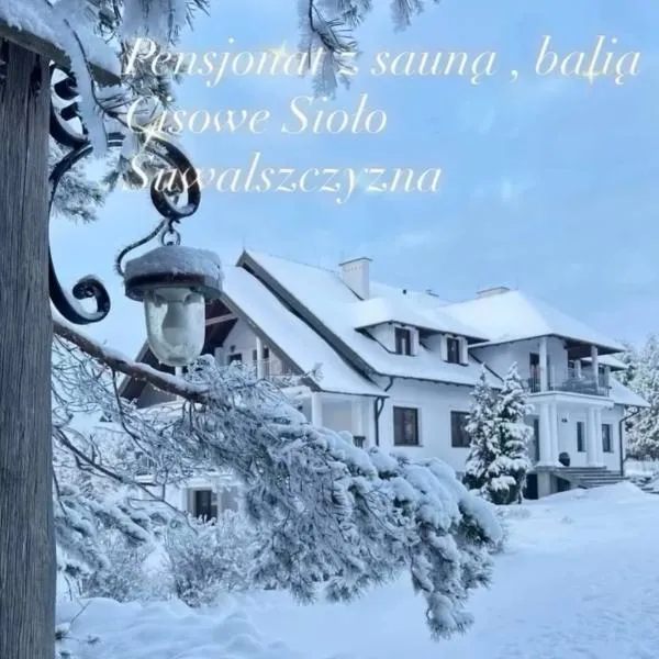 Cisowe Sioło, hotel en Jeleniewo