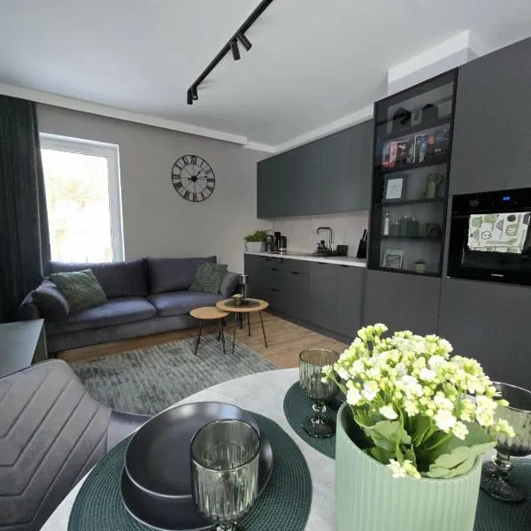 Apartament Zielony Loft Kudowa Zdrój z parkingiem w garażu, hotel in Kudowa-Zdrój