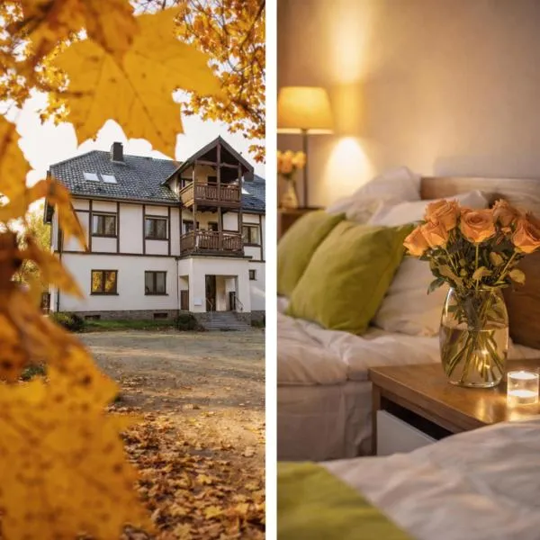 Rezydencja Klonowa，Głuszyca Górna的飯店