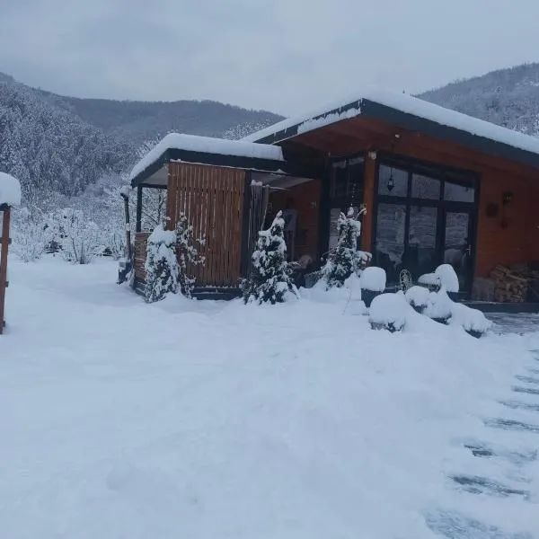 Casuta de sub stanca Apuseni,hot tub inclus, hotel en Bîrdeşti