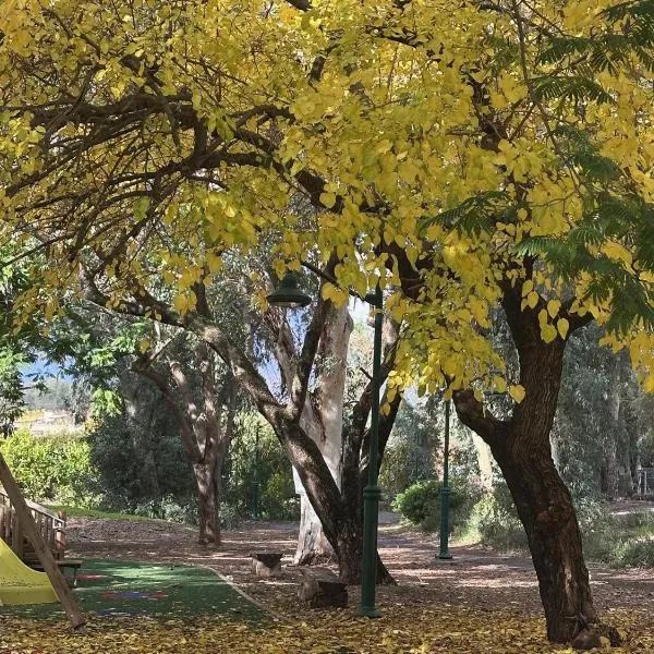 צימר יערת הדבש: HaGoshrim şehrinde bir otel