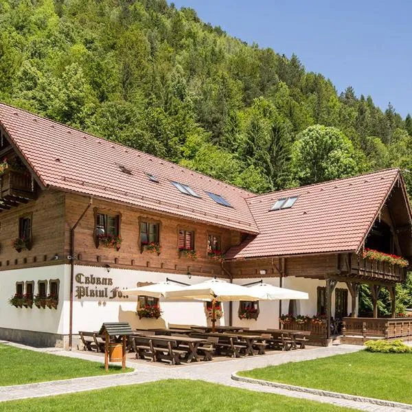 Cabana Plaiul Foii, Hotel in Zărneşti