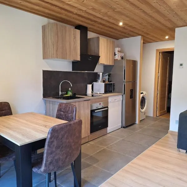 Appartement 4 personnes proche des pistes de ski, מלון בפרלוניאן-לה-ונואז