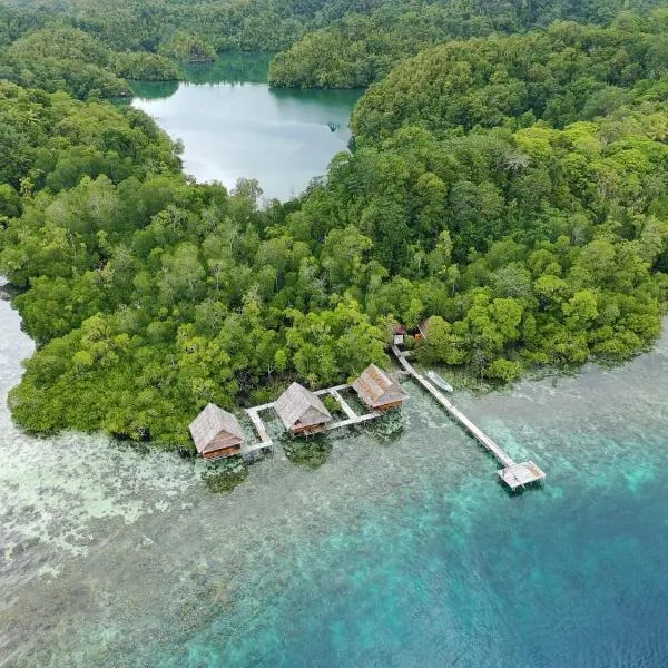 Raja Ampat Holidays, hotel v destinácii Besir
