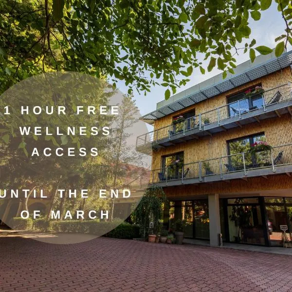 福瑞德酒店，布拉格的飯店